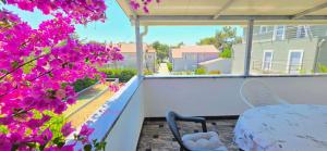 Apartment Branko