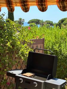 LA ROMAINE STUDIO CABINE CLIMATISE TERRASSE VUE MER 200m PLAGE