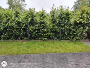 Apartament Brzeziny Zacisze-Ogród
