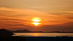Cardara Naxos