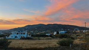 Cardara Naxos