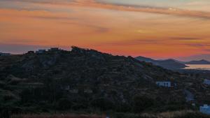 Cardara Naxos