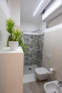 Apartment Ancora
