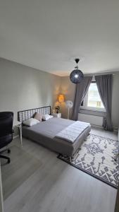 Spacious and Modern Apartment Space