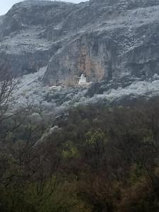 Apartman Selišta
