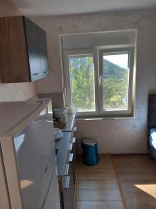 Apartman Selišta