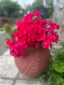 Anaxos Garden 1