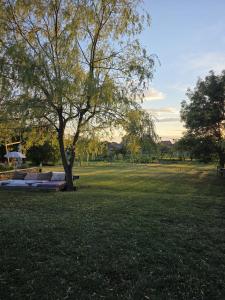 Lavander Garden