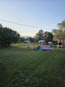 Lavander Garden