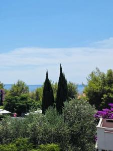 Apartman Sole Mare- Vir ,Hrvatska