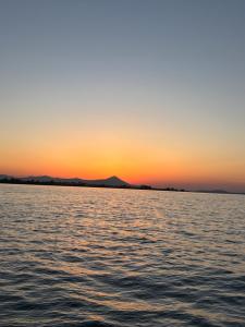 Noy sweet sea