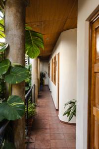 Arbol de Fuego Eco-hotel
