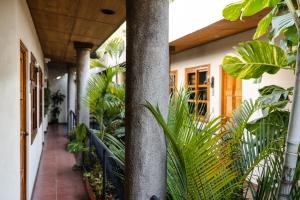 Arbol de Fuego Eco-hotel