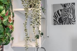 Cozy Apartment near Lungarno Central Pisa
