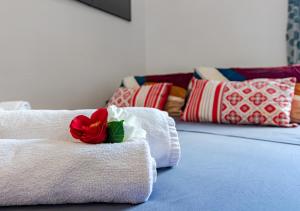 Cozy Apartment near Lungarno Central Pisa