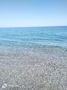 Green & Blue Holiday