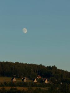 Widok Paleśnica