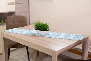 Monolocale Dinas House