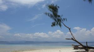 Novella Homestay