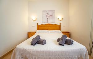 Chalet Flamingo Riumar Pura Natura
