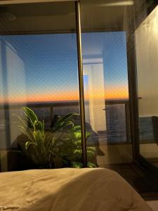 Hermoso departamento en Costa de Montemar, Concón -las piscinas sólo se pueden usar en arriendos sobre 15 días