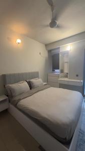 Comfy 2 BHK Apartment in Central Male