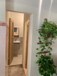 chacha home