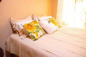 Cozy centrally located apartment in David