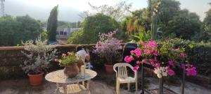 Hotel Caleta