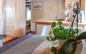 Gorgeous Apartment In Pärup With Wifi