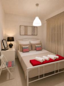 NiRa house
