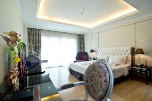 CT Suite