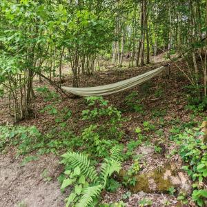 Evergreen Motto Sohodol Camping
