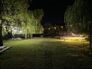 Lavander Garden