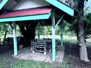บ้านสวน nature home