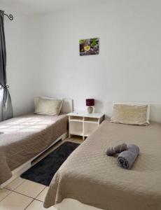 Appartement hibiscus