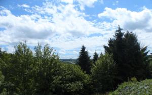Les terrasses de Malmedy Studio 333 Yellow Grey