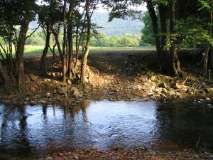 Avtokamp pri mlinu - Tent or Camper Pitch - Dujčeva domačija