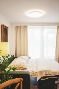 Pioneer house - app with free parking place, terrace and private garden