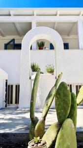 Residence Lido dei Pini