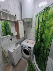 Studio Forest