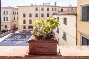 Divina Terrazza in Center Town