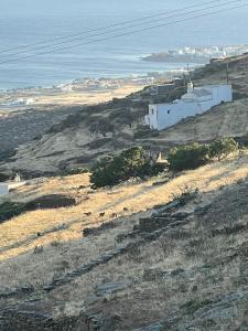 aigistinosshelter