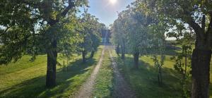 Stora Beddinge - Sun apartment