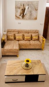 Hanny homes