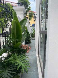 Van Khe Cozy Villa