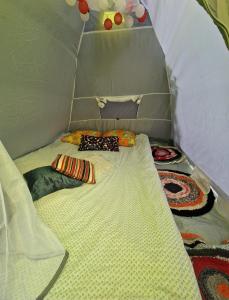 Tentu Tentu, Babushtent
