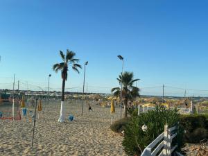 Lungomare Pescara Beachfront & City Center