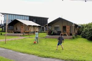 Safari Lodges
