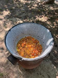 Cabanele din RÂTUL FLORILOR